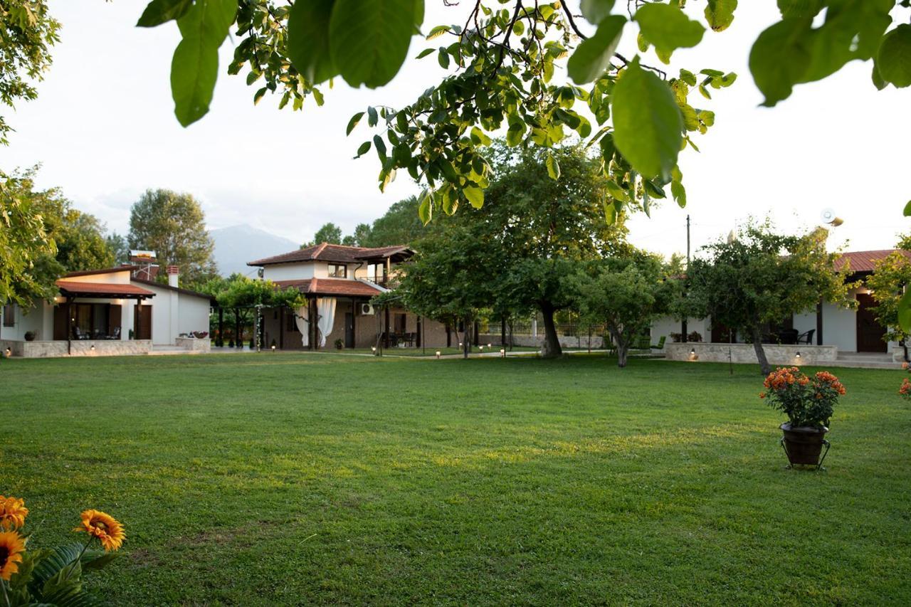 Villa La Varik 3 Litóchoron Eksteriør billede